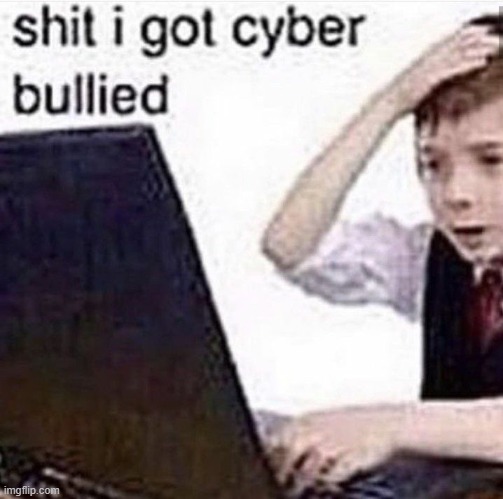 Shit I got cyber Bullied | image tagged in shit i got cyber bullied | made w/ Imgflip meme maker