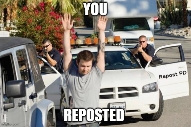 Repost Police | YOU REPOSTED | image tagged in repost police | made w/ Imgflip meme maker