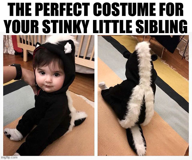 THE PERFECT COSTUME FOR YOUR STINKY LITTLE SIBLING | image tagged in costume,halloween | made w/ Imgflip meme maker