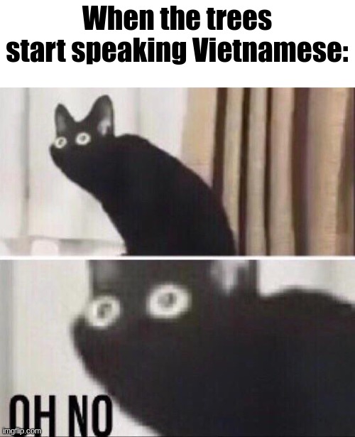 Ah shi- | When the trees start speaking Vietnamese: | image tagged in oh no cat | made w/ Imgflip meme maker