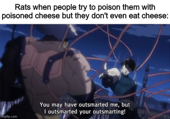 You may have outsmarted me, but i outsmarted your understanding | Rats when people try to poison them with poisoned cheese but they don't even eat cheese: | image tagged in you may have outsmarted me but i outsmarted your understanding,mice,memes | made w/ Imgflip meme maker