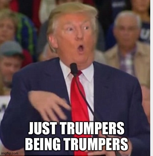 Donald Trump tho | JUST TRUMPERS BEING TRUMPERS | image tagged in donald trump tho | made w/ Imgflip meme maker