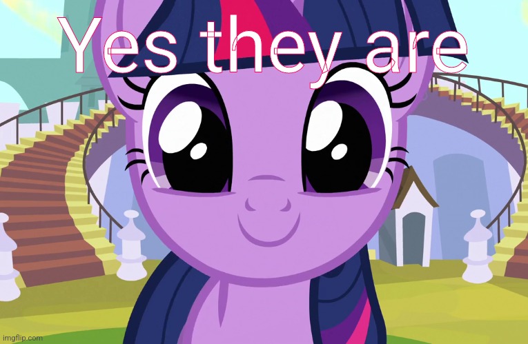 Cute Twilight Sparkle (MLP) | Yes they are | image tagged in cute twilight sparkle mlp | made w/ Imgflip meme maker