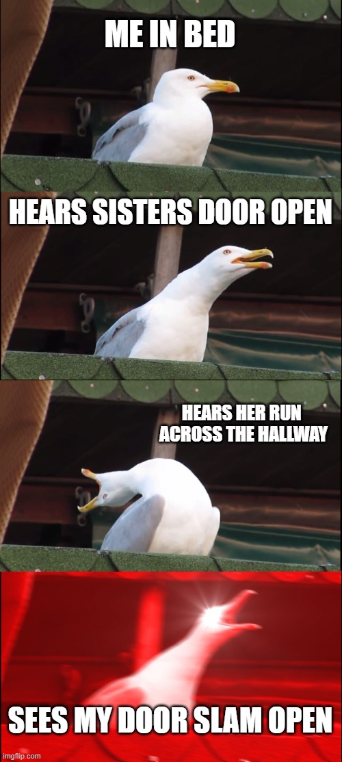 me and my sister | ME IN BED; HEARS SISTERS DOOR OPEN; HEARS HER RUN 
ACROSS THE HALLWAY; SEES MY DOOR SLAM OPEN | image tagged in memes,inhaling seagull | made w/ Imgflip meme maker