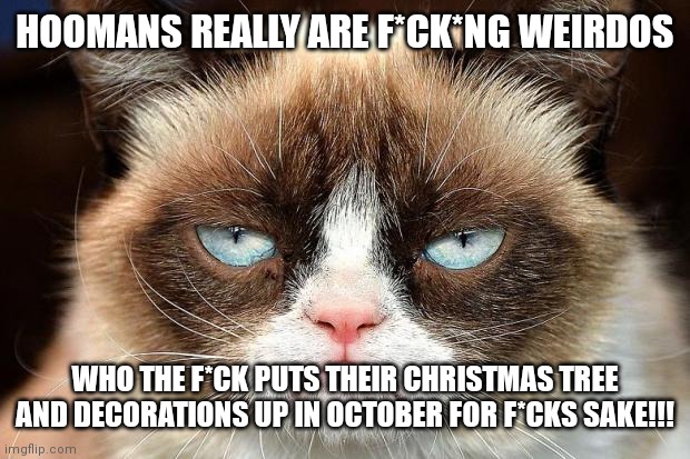 Grumpy Cat Not Amused | HOOMANS REALLY ARE F*CK*NG WEIRDOS; WHO THE F*CK PUTS THEIR CHRISTMAS TREE AND DECORATIONS UP IN OCTOBER FOR F*CKS SAKE!!! | image tagged in memes,grumpy cat not amused,grumpy cat | made w/ Imgflip meme maker