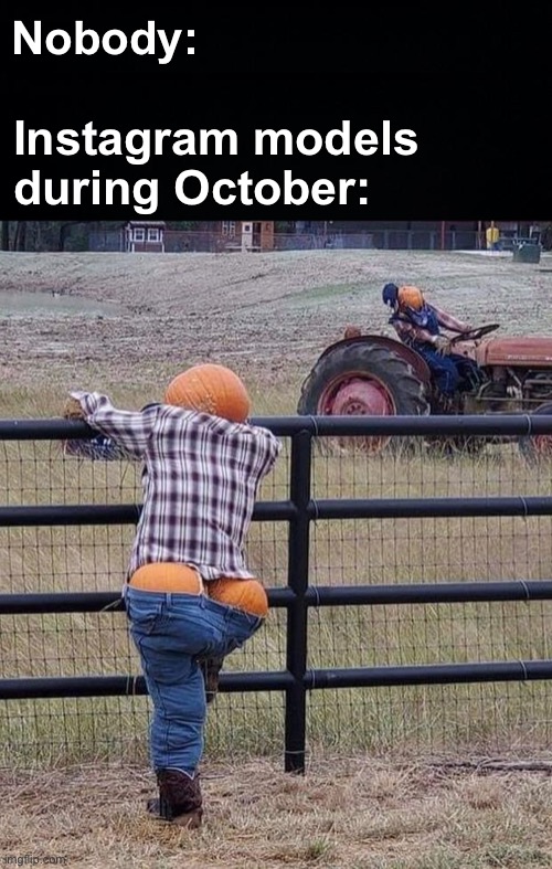 gotta have those plump pumpkins | Nobody:; Instagram models during October: | image tagged in memes,unfunny | made w/ Imgflip meme maker