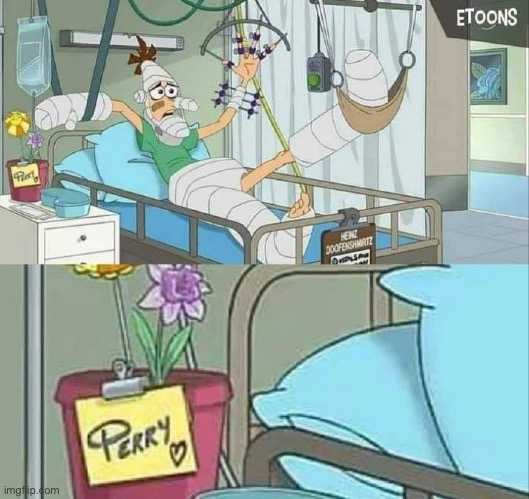 found this in a Phineas and Ferb episode, perry is a gracious victor | image tagged in memes,unfunny | made w/ Imgflip meme maker