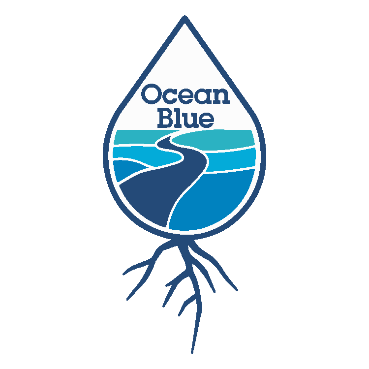 High Quality Ocean Blue Project Blank Meme Template