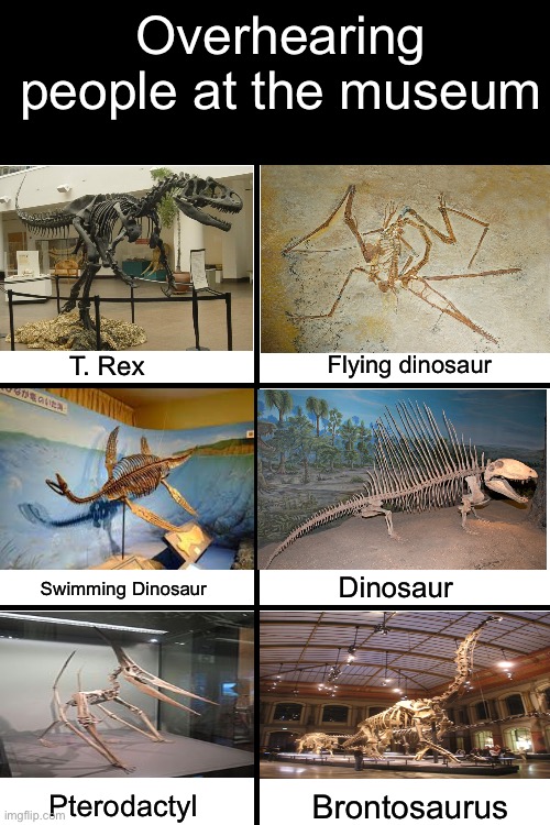 Blank template | Overhearing people at the museum; Flying dinosaur; T. Rex; Dinosaur; Swimming Dinosaur; Brontosaurus; Pterodactyl | image tagged in blank template,t-rex,dinosaur,museum | made w/ Imgflip meme maker