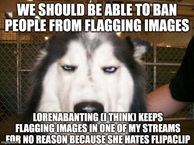 She claims to be 41 but she acts like a 9 year old. And she commented on one of my animations calling it a sin to Jesus. | WE SHOULD BE ABLE TO BAN PEOPLE FROM FLAGGING IMAGES; LORENABANTING (I THINK) KEEPS FLAGGING IMAGES IN ONE OF MY STREAMS FOR NO REASON BECAUSE SHE HATES FLIPACLIP | image tagged in annoyed dog | made w/ Imgflip meme maker