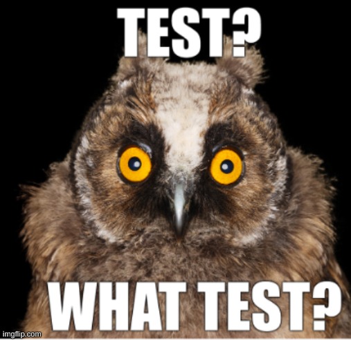 Test | image tagged in found this,meme,owl | made w/ Imgflip meme maker