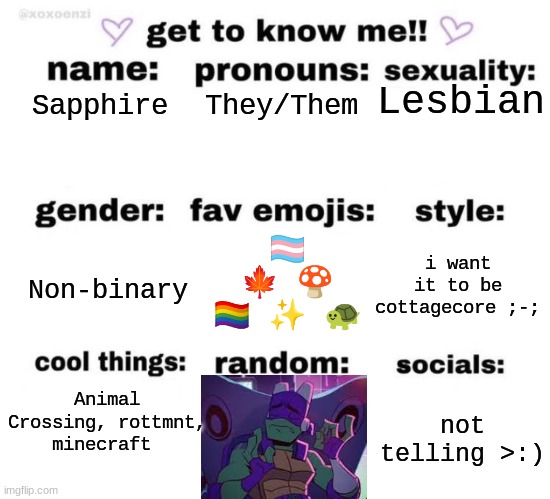 i got bored | Lesbian; They/Them; Sapphire; 🏳‍⚧ 🍁 🍄 🏳‍🌈 ✨ 🐢; i want it to be cottagecore ;-;; Non-binary; Animal Crossing, rottmnt, minecraft; not telling >:) | image tagged in get to know me | made w/ Imgflip meme maker