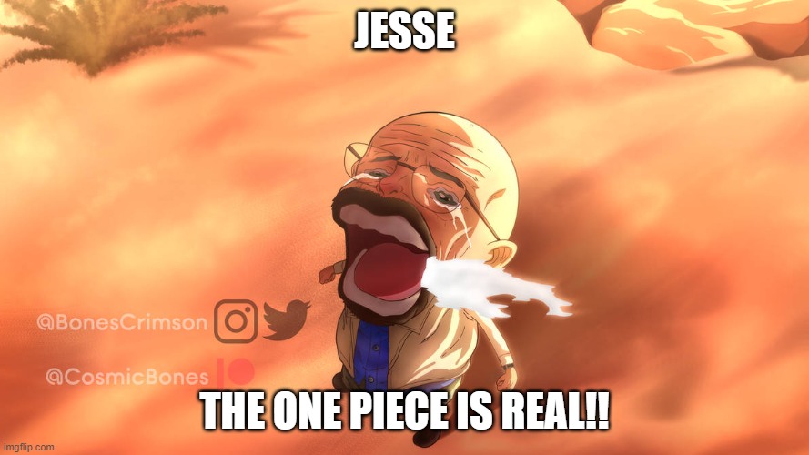 jesse | JESSE; THE ONE PIECE IS REAL!! | image tagged in walter white,jesse pinkman,breaking bad,better call saul,kid named finger,heisenberg | made w/ Imgflip meme maker