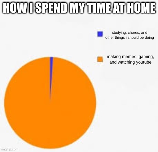 Pie Chart Meme | HOW I SPEND MY TIME AT HOME; studying, chores, and other things i should be doing; making memes, gaming, and watching youtube | image tagged in pie chart meme | made w/ Imgflip meme maker
