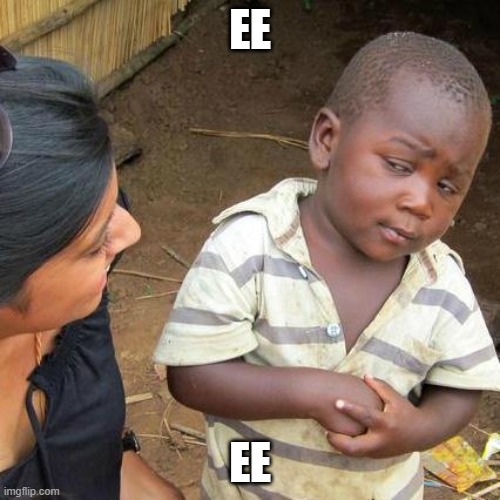 eeeeeeeeeeeeee | EE; EE | image tagged in memes,third world skeptical kid | made w/ Imgflip meme maker