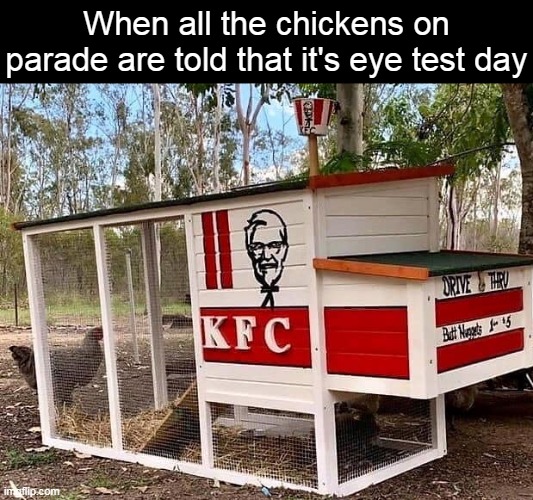 When all the chickens on parade are told that it's eye test day | image tagged in meme,memes,humor,funny | made w/ Imgflip meme maker
