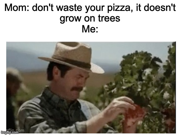 Mom: don't waste your pizza, it doesn't
grow on trees
Me: | made w/ Imgflip meme maker