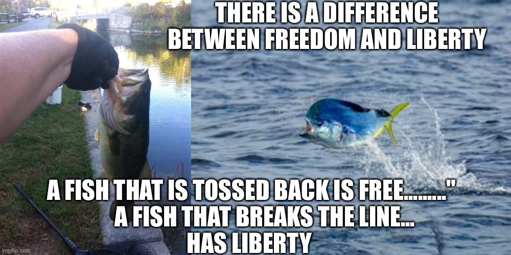 The difference between freedom and liberty | THERE IS A DIFFERENCE BETWEEN FREEDOM AND LIBERTY; A FISH THAT IS TOSSED BACK IS FREE........."

      A FISH THAT BREAKS THE LINE...
HAS LIBERTY | image tagged in freedom,liberty,slavery,taxation | made w/ Imgflip meme maker