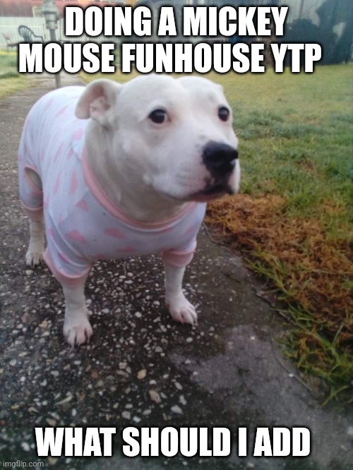 High quality Huh Dog | DOING A MICKEY MOUSE FUNHOUSE YTP; WHAT SHOULD I ADD | image tagged in high quality huh dog | made w/ Imgflip meme maker