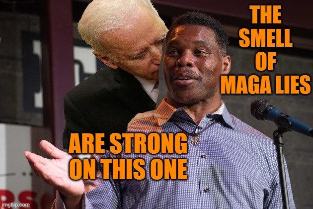 Herschel Walker | THE SMELL OF MAGA LIES ARE STRONG ON THIS ONE | image tagged in herschel walker | made w/ Imgflip meme maker