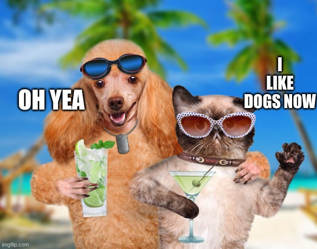 Cat and Dog Sipping Cocktails | I LIKE DOGS NOW; OH YEA | image tagged in cat and dog sipping cocktails | made w/ Imgflip meme maker