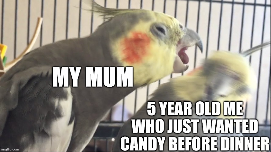 Opps... | MY MUM; 5 YEAR OLD ME WHO JUST WANTED CANDY BEFORE DINNER | image tagged in birb screaming,birb,bird,birds,scream,screaming | made w/ Imgflip meme maker