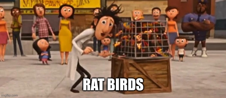 rat birds | RAT BIRDS | image tagged in rat birds | made w/ Imgflip meme maker