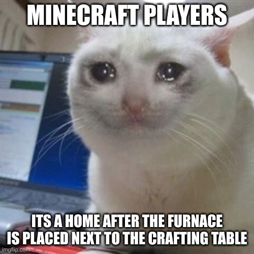 Minecraft players | MINECRAFT PLAYERS; ITS A HOME AFTER THE FURNACE IS PLACED NEXT TO THE CRAFTING TABLE | image tagged in crying cat | made w/ Imgflip meme maker