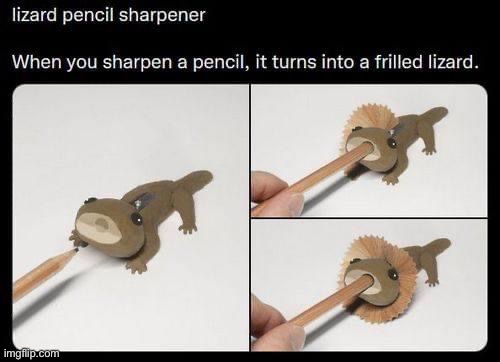 Lizard pencil sharpener | image tagged in lizard pencil sharpener | made w/ Imgflip meme maker