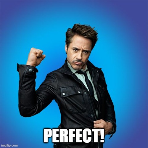 trial, error, success | PERFECT! | image tagged in trial error success | made w/ Imgflip meme maker