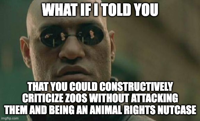 Attacking is not Criticism | WHAT IF I TOLD YOU; THAT YOU COULD CONSTRUCTIVELY CRITICIZE ZOOS WITHOUT ATTACKING THEM AND BEING AN ANIMAL RIGHTS NUTCASE | image tagged in memes,matrix morpheus | made w/ Imgflip meme maker