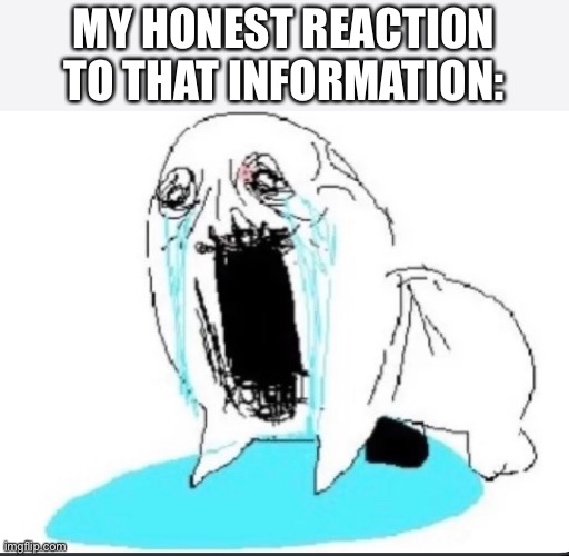 MY HONEST REACTION TO THAT INFORMATION: | made w/ Imgflip meme maker