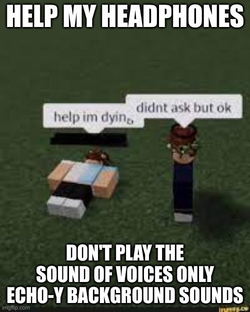 they broken i can't fix them- | HELP MY HEADPHONES; DON'T PLAY THE SOUND OF VOICES ONLY ECHO-Y BACKGROUND SOUNDS | image tagged in help im dying | made w/ Imgflip meme maker