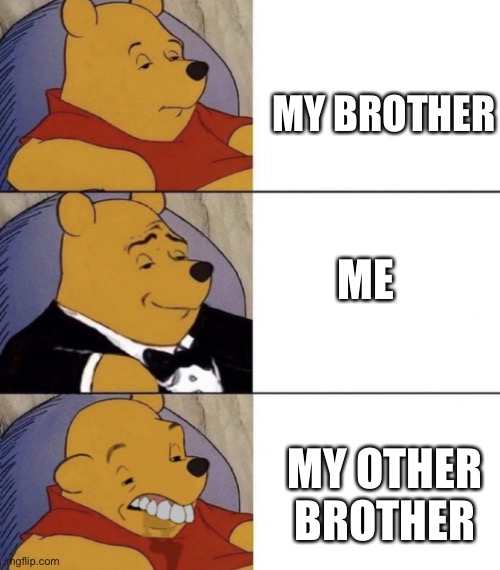 Whinnie The Poo (Normal, Fancy, Gross) | MY BROTHER; ME; MY OTHER BROTHER | image tagged in whinnie the poo normal fancy gross | made w/ Imgflip meme maker