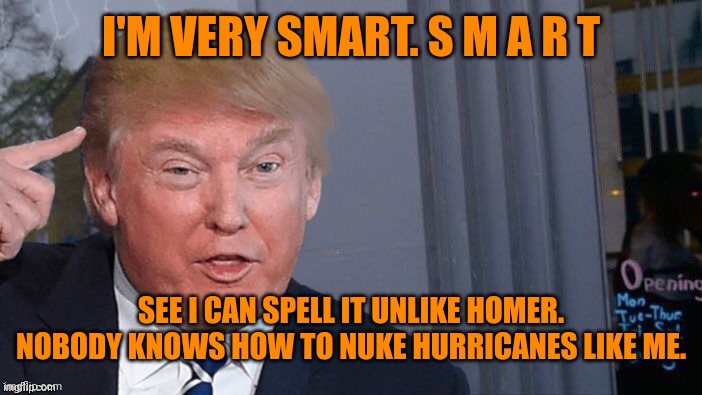 Roll Trump think about it | I'M VERY SMART. S M A R T SEE I CAN SPELL IT UNLIKE HOMER. NOBODY KNOWS HOW TO NUKE HURRICANES LIKE ME. | image tagged in roll trump think about it | made w/ Imgflip meme maker