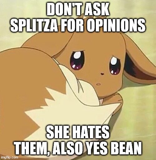 Scared Eevee | DON'T ASK SPLITZA FOR OPINIONS SHE HATES THEM, ALSO YES BEAN | image tagged in scared eevee | made w/ Imgflip meme maker