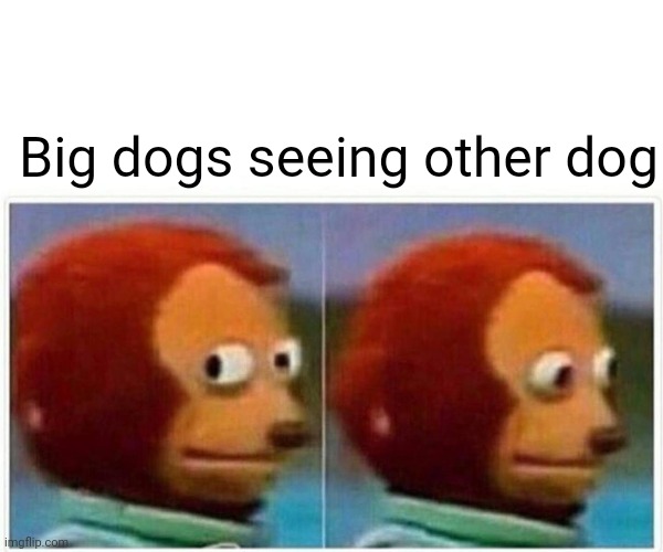 Monkey Puppet Meme | Big dogs seeing other dog | image tagged in memes,monkey puppet | made w/ Imgflip meme maker