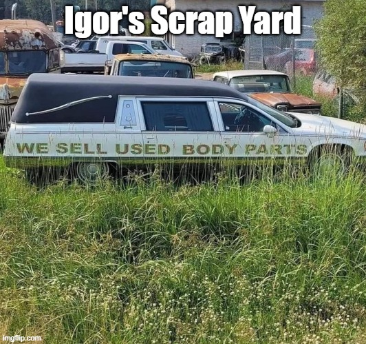 Body Parts | Igor's Scrap Yard | image tagged in humor,halloween | made w/ Imgflip meme maker