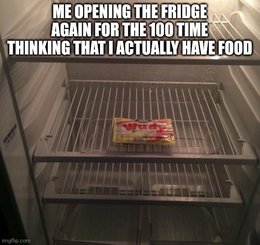 The fridge silly opener | ME OPENING THE FRIDGE AGAIN FOR THE 100 TIME THINKING THAT I ACTUALLY HAVE FOOD | image tagged in empty fridge,oh wow are you actually reading these tags,why are you reading this,stop reading the tags | made w/ Imgflip meme maker