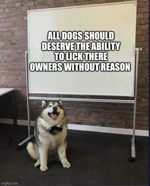 No? | ALL DOGS SHOULD DESERVE THE ABILITY TO LICK THERE OWNERS WITHOUT REASON | image tagged in presentation dog | made w/ Imgflip meme maker