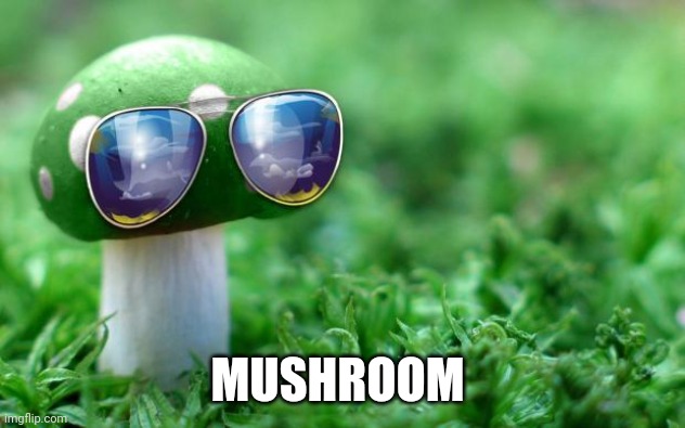 Mushroom | MUSHROOM | image tagged in deal with it mushroom | made w/ Imgflip meme maker
