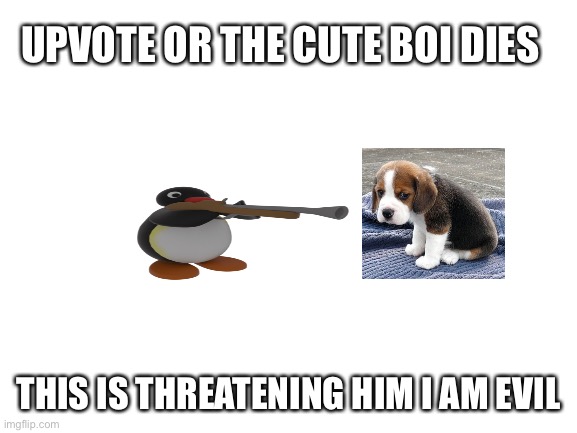 You are heartless if you let doggo die | UPVOTE OR THE CUTE BOI DIES; THIS IS THREATENING HIM I AM EVIL | image tagged in angry pingu,dog dose not wanna be killed,so upvote | made w/ Imgflip meme maker
