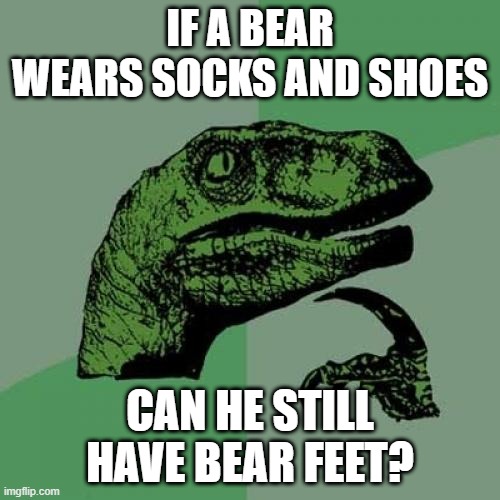 Ursine Pied | IF A BEAR WEARS SOCKS AND SHOES; CAN HE STILL HAVE BEAR FEET? | image tagged in memes,philosoraptor | made w/ Imgflip meme maker