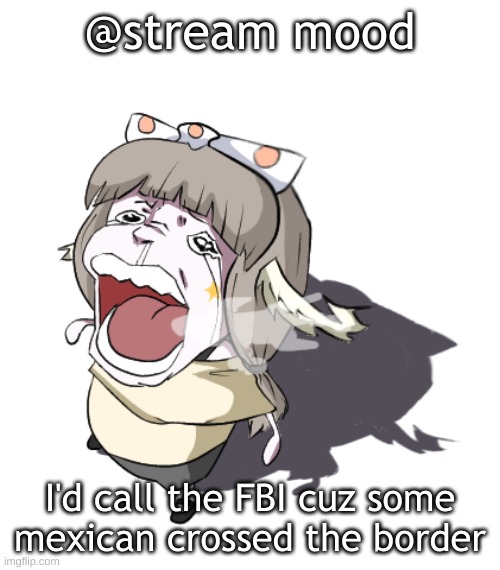 Quandria crying | @stream mood; I'd call the FBI cuz some mexican crossed the border | image tagged in quandria crying | made w/ Imgflip meme maker