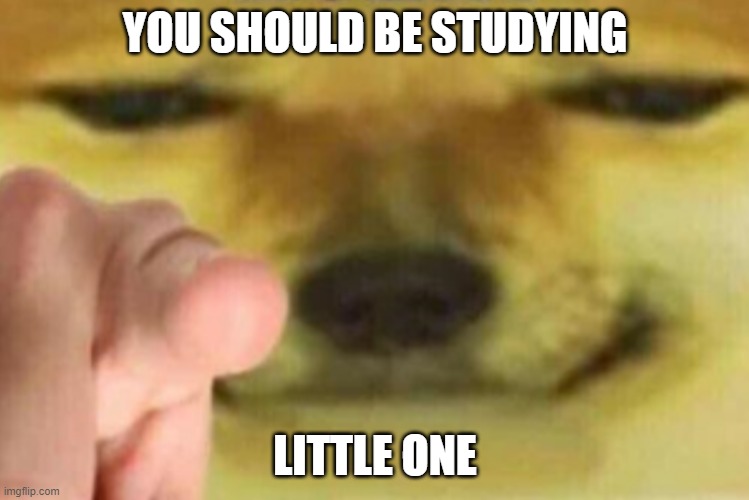 Stop watching memes | YOU SHOULD BE STUDYING; LITTLE ONE | image tagged in memes | made w/ Imgflip meme maker