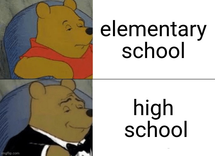 Tuxedo Winnie The Pooh Meme | elementary school; high
 school | image tagged in memes,tuxedo winnie the pooh | made w/ Imgflip meme maker