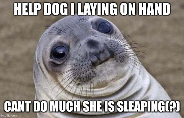 ;-; | HELP DOG I LAYING ON HAND; CANT DO MUCH SHE IS SLEAPING(?) | image tagged in memes,awkward moment sealion,pitbulls,dogs | made w/ Imgflip meme maker