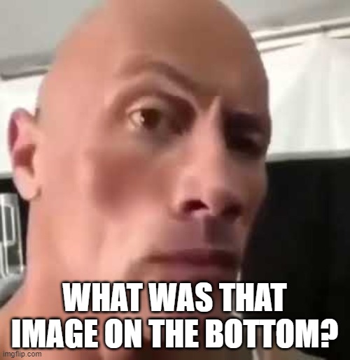 The Rock Eyebrows | WHAT WAS THAT IMAGE ON THE BOTTOM? | image tagged in the rock eyebrows | made w/ Imgflip meme maker