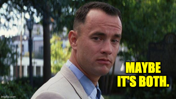 Forrest Gump | MAYBE IT'S BOTH. | image tagged in forrest gump | made w/ Imgflip meme maker