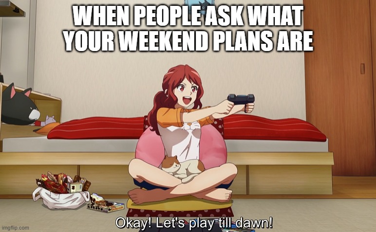 Weekend plans | WHEN PEOPLE ASK WHAT YOUR WEEKEND PLANS ARE | image tagged in cats,video games,grumpy cat weekend | made w/ Imgflip meme maker